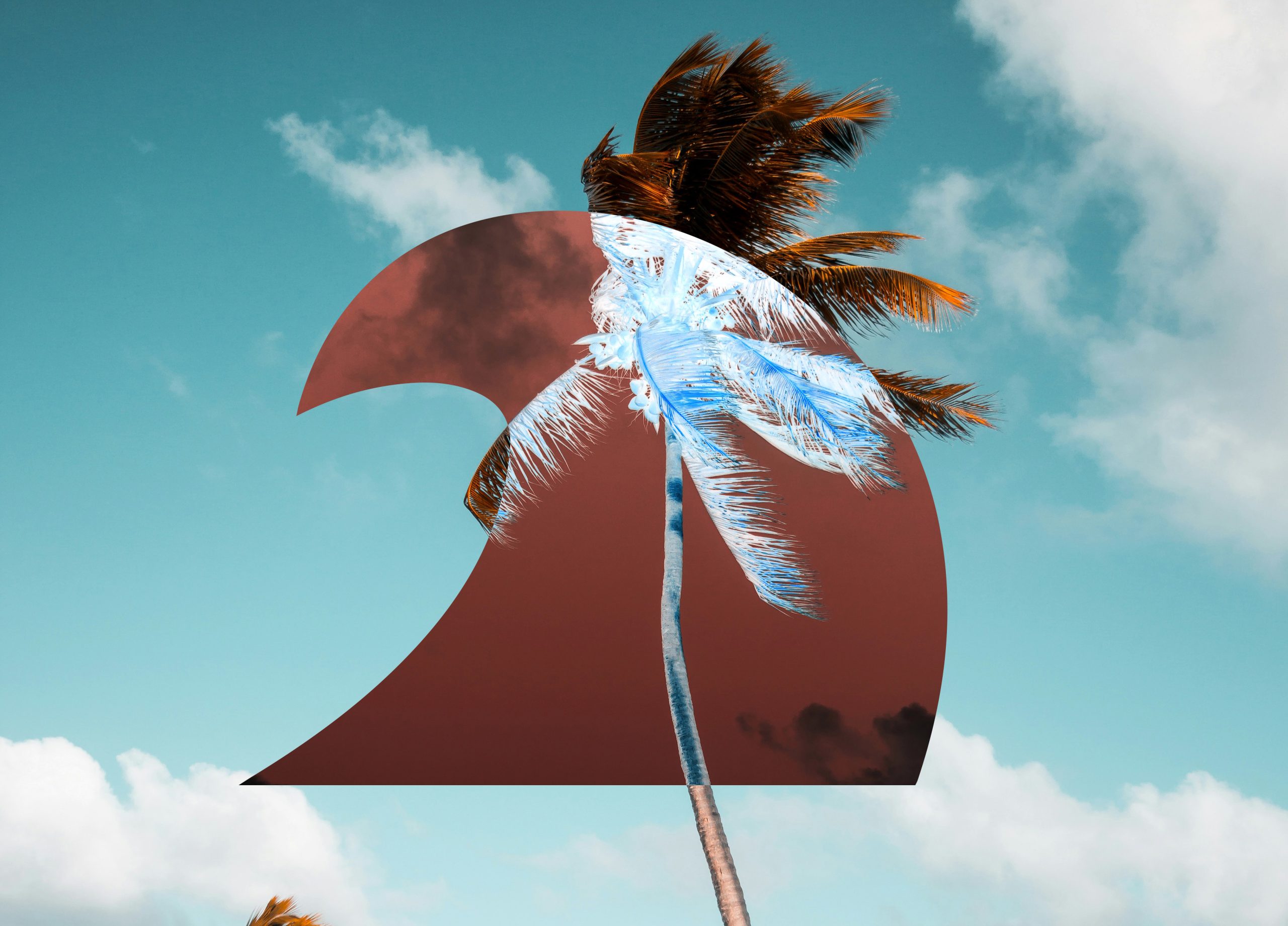 Divi Flower Shop Layout