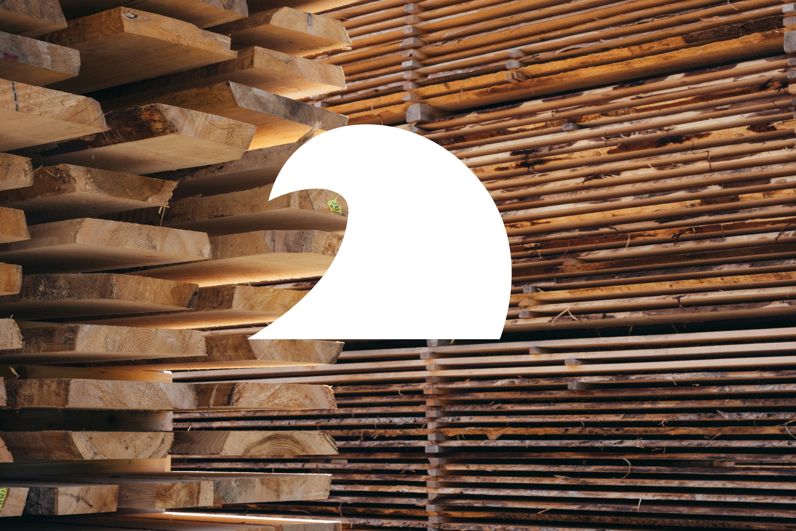 Divi Flower Shop Layout